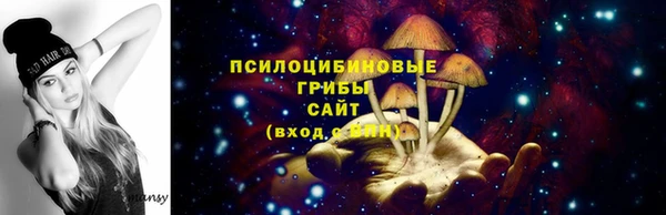 МДМА Инсар