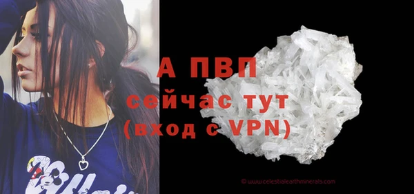 скорость Каменка