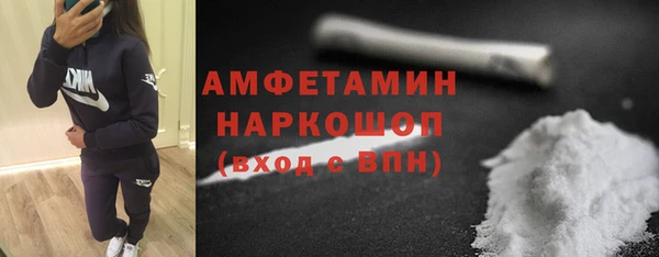 скорость Каменка