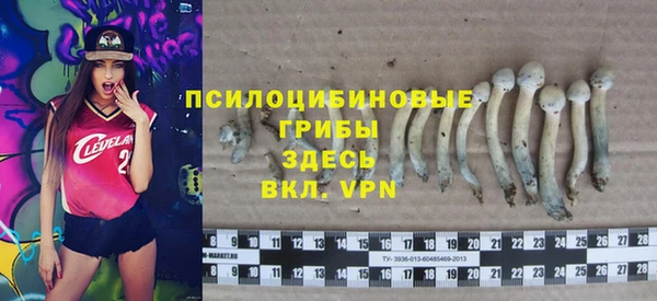 каннабис Каменногорск